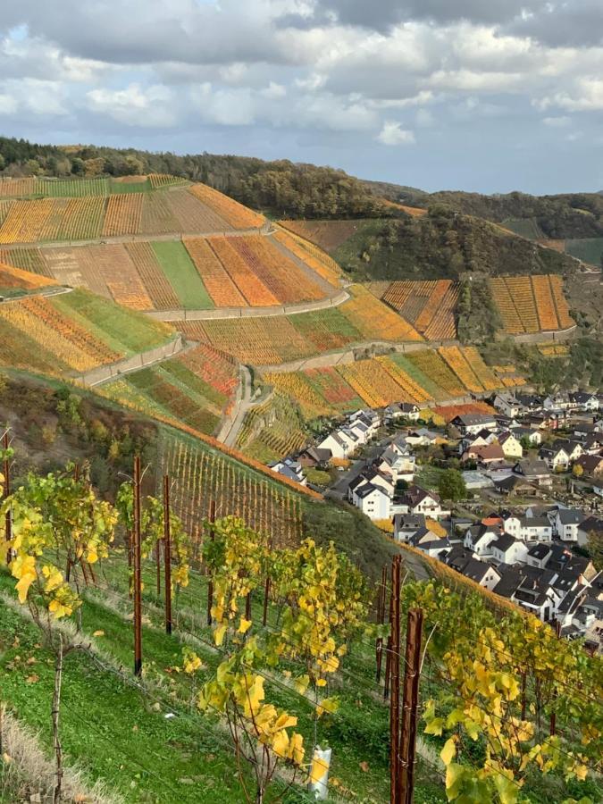 Rheinvilla Arte Remagen Kültér fotó